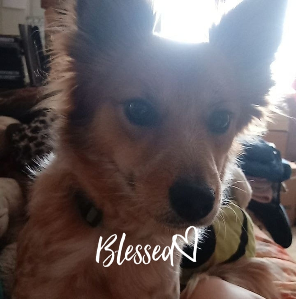 Meet your Posher, Evalexn